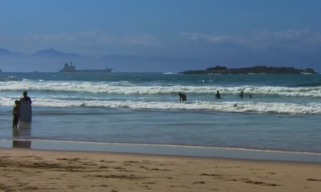 Люди чуть не стали кормом для акулы, помешав ее охоте возле косяка рыб: "Этого легко избежать - не залезайте в воду"