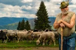 Доплата 20% до пенсії для жителів гірських районів