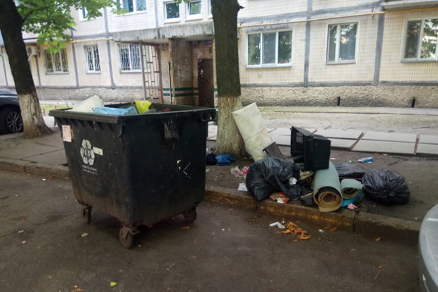 Можно ли наказать жильцов, выбрасывающих мусор из окон?