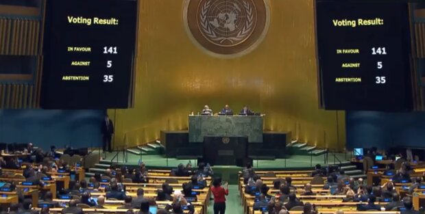 Генассамблея ООН, скриншот