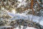 Погода в Україні, фото: goodfon