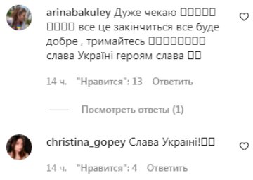 Комментарии на пост Анны Тринчер в Instagram