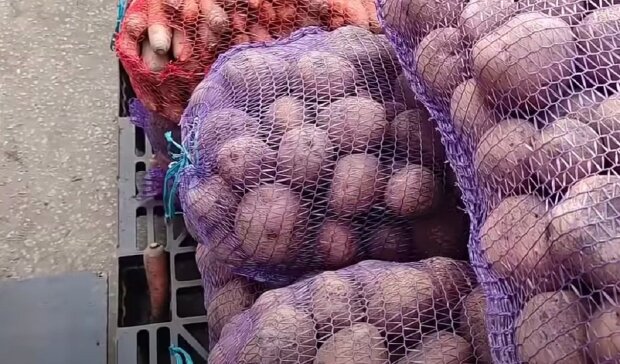 Картопля на ринку. Фото: скриншот Youtube