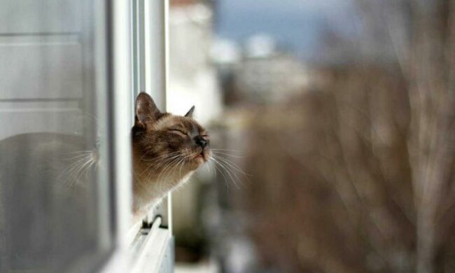 Погода на 20 апреля: в Украину движутся резкие изменения