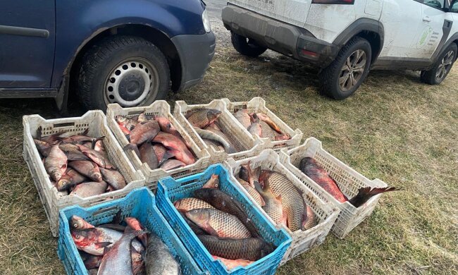 незаконний вилов риби