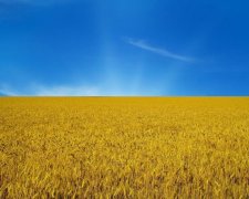 Порошенко та Гройсман привітали українців із Днем Прапора