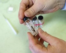 Коварный вирус Зика приблизился еще ближе к Украине