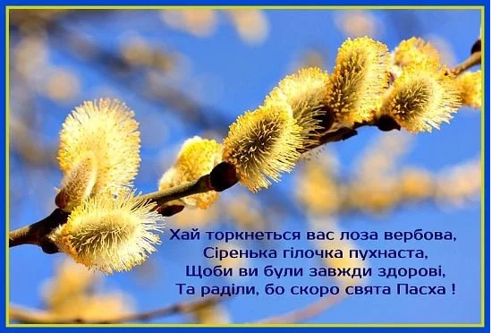 Вербное воскресенье: поздравления в стихах и прозе, открытки — Украина
