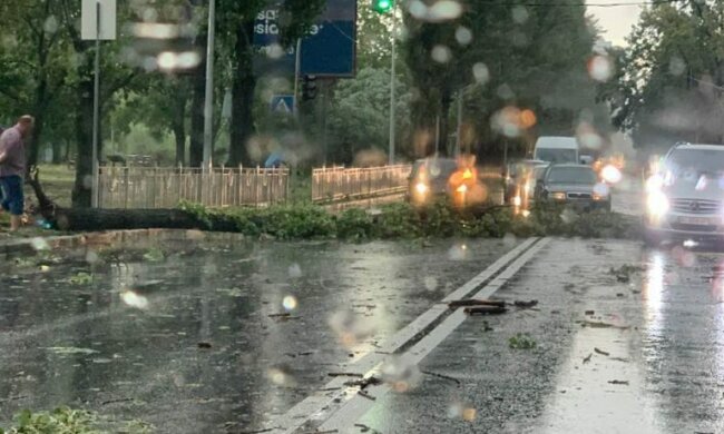 Киевляне, держитесь: на столицу надвигается ураган, синоптики бьют тревогу