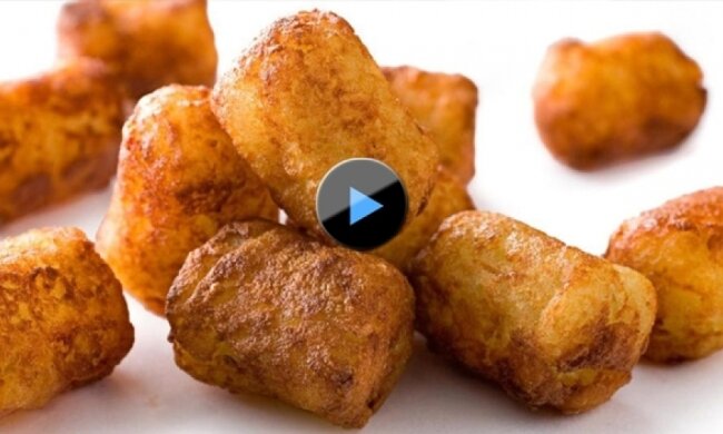 Цей хитрий собака зібрав мільйон переглядів на YouTube (відео)