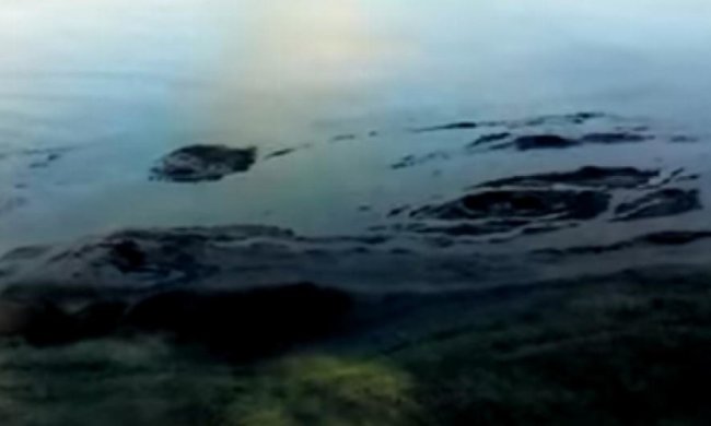 По Дніпру розтяглася чорна пляма невідомого походження (відео)