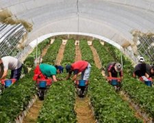 Побої та насилля: в якому пеклі доводиться жити українським заробітчанам