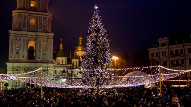 Сколько потратят на новогоднюю елку города Украины: рейтинг самых скупых и щедрых
