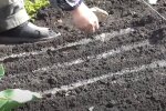 Высадка "зелени", скриншот: YouTube
