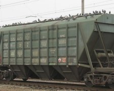 В "Укрзалізниці" розкрилися розкрадання на мільйони