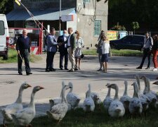 У Львові до Садового прийшло стадо гусей замість виборців