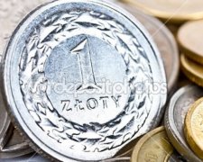 Польский злотый назвали "самой дешевой валютой мира"