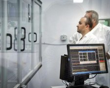 Зникнення комах не на жарт налякало вчених