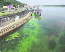 Дніпро потопає у смердючій гидоті: на що перетворилася водна артерія Києва, - пекельні кадри