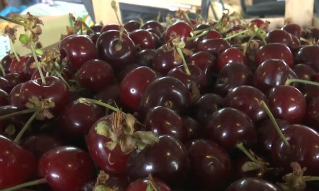 Черешня, кадр из видео