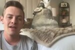 Хаски-певец, скриншот видео