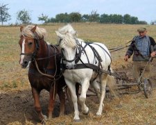 День Георгия Победоносца 6 мая: чего категорически нельзя делать
