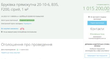 Тендер на закупівлю бруківки, скріншот