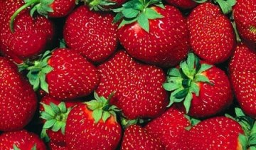 Вчені знайшли "молодильні" продукти