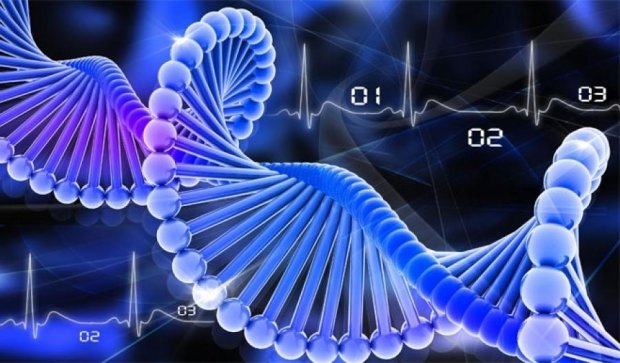 Вчені закодували файли в ДНК
