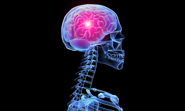 Невидимий вбивця: сотні паразитів у головному мозку знищили молодого хлопця