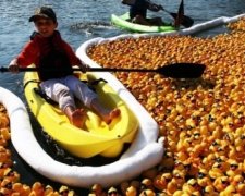 Десятки тысяч утят заполнили Чикаго