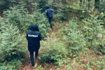 Франківчанка стала жертвою бандита в балаклаві - "роздягнув" за секунду і втік з гаманцем