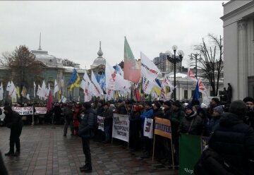 Митинг "SaveФОП", фото: Znaj.ua