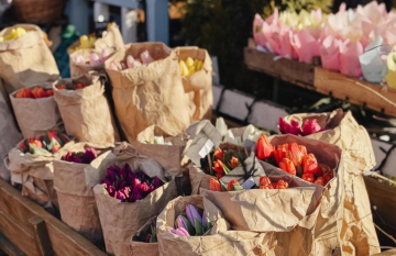 Тюльпани, квіти, фото із соцмереж