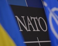 Путин не смог убедить НАТО в своей правоте