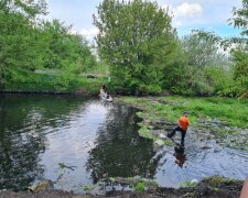 Небайдужі харків'яни провели вихідний серед сміття заради порятунку природи: "Порівняйте до і після!"