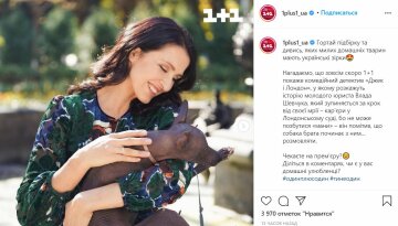 Домашні улюбленці зірок українського шоу-бізнесу, фото: Instagram