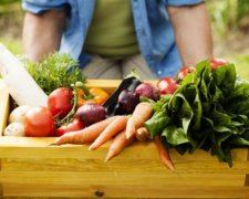 Як торговельна угода з ЄС вплинула на ціни в Україні