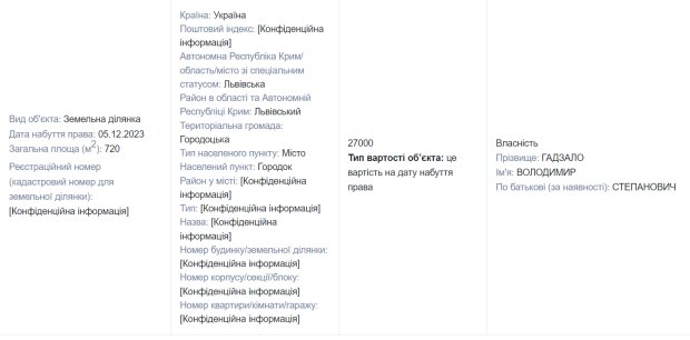 Имущество Владимира Гадзало / фото: скриншот Единого реестра деклараций