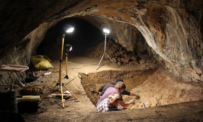 Обнаружили кости и зубы: люди копали-копали и накопали таинственный лакированный гроб