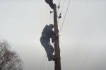 електрик, скріншот з відео