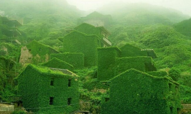 Полишене мешканцями китайське рибальське село "потонуло" в зелені