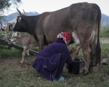 Невеста для папы: девочки крупно пожалеют об участии в шоу
