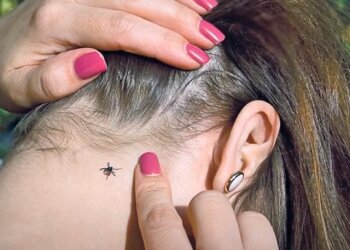 Клещ. Фото: Youtube