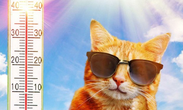 Погода в Харкові на 20 червня: спека готує пекельний рекорд, запасайтеся віялами