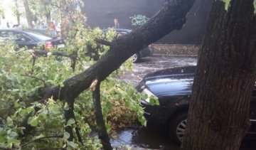 Ураган у Харкові знищив автомобілі і вбив людину