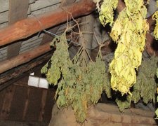 У селян Чернігівщини знайшли 10 мішків конопель та зброю (фото)