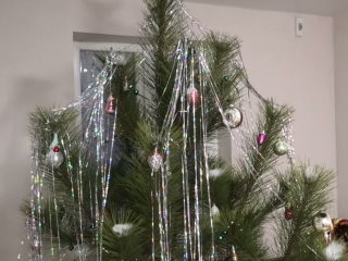 Новорічна ялинка, зображення із соцмереж