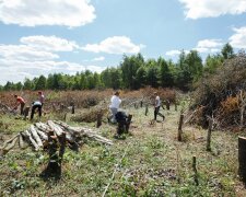 По два гектари на кожну родину: українцям масово роздаватимуть землю, як отримати