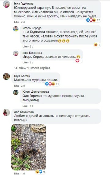 скриншот со страницы в Facebook